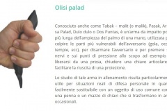 olisi-palad